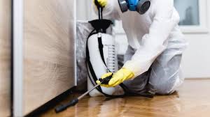 Best Residential Pest Control  in Cortland, OH